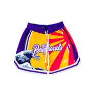 Alpha Wave 🌊 Heavyweight Mesh Shorts - LA