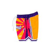 Alpha Wave 🌊 Heavyweight Mesh Shorts - LA