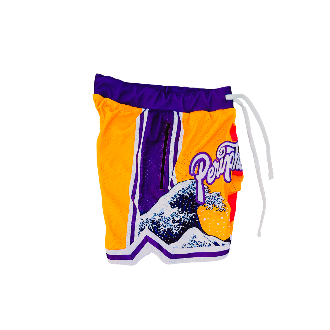 Alpha Wave 🌊 Heavyweight Mesh Shorts - LA