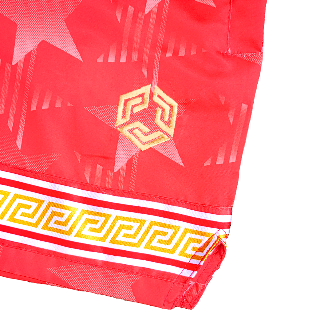 Star Spangled Satin Shorts - Red / Gold